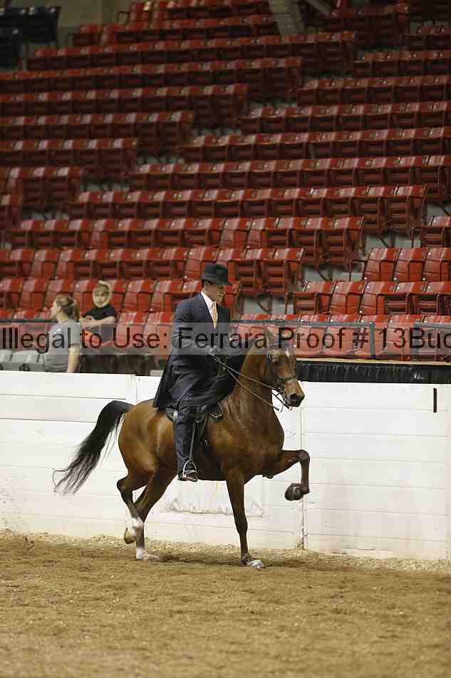 Proof 13buck_1093