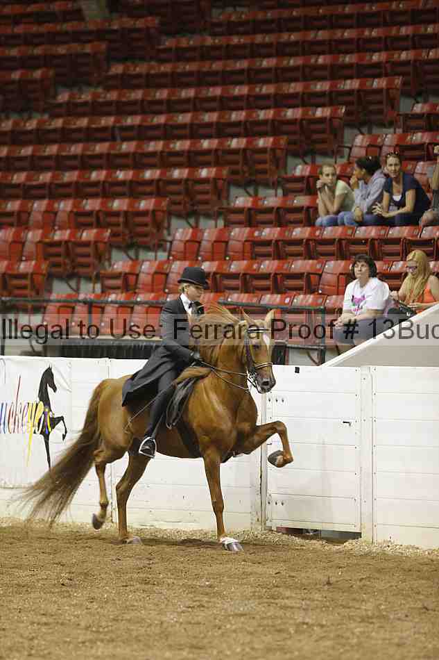 Proof 13buck_1095