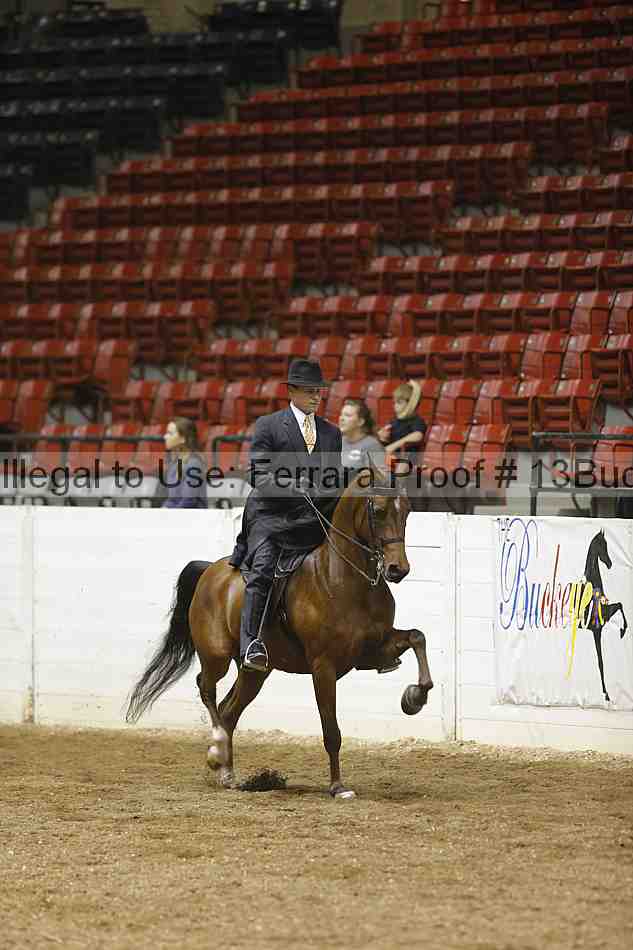 Proof 13buck_1096