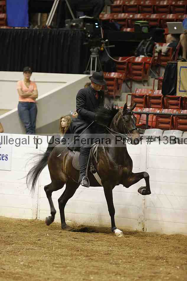 Proof 13buck_1097
