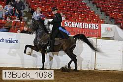13buck_1098 proof