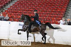 13buck_1099 proof
