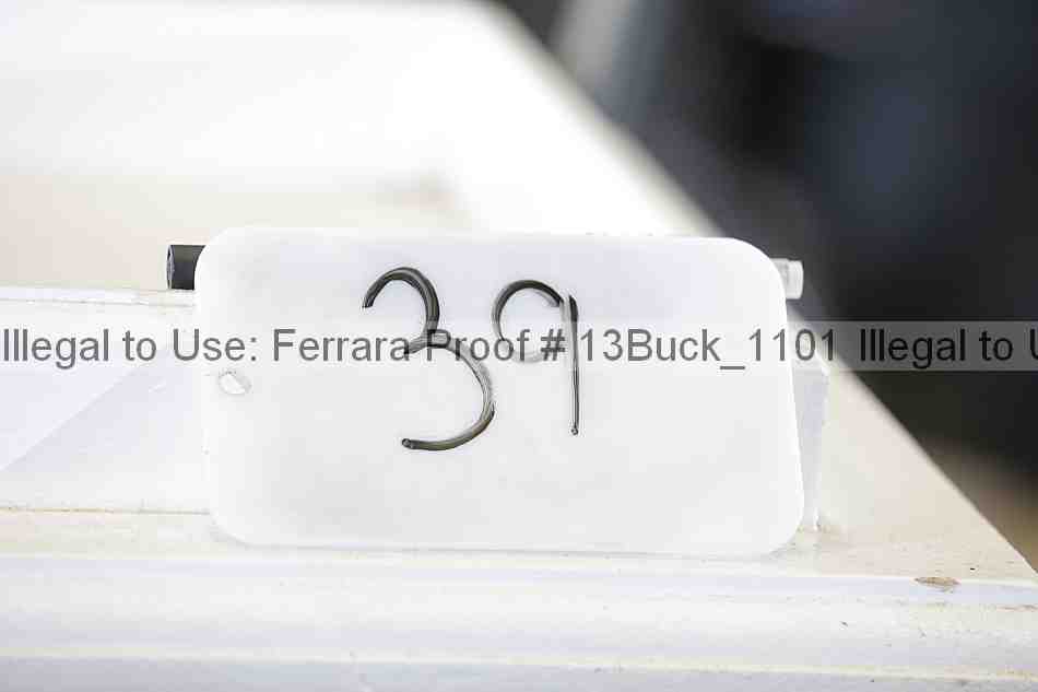 Proof 13buck_1101