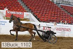 13buck_1102 proof