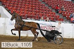 13buck_1105 proof