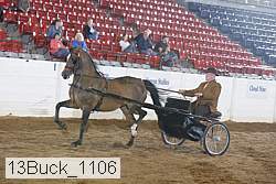 13buck_1106 proof