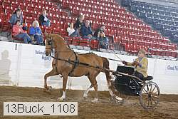13buck_1108 proof