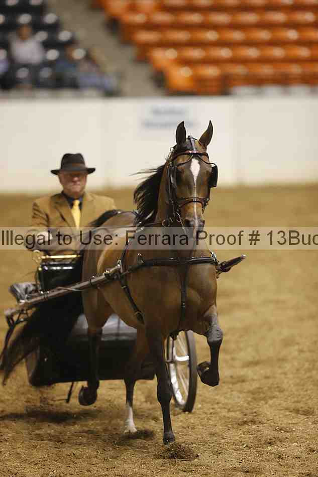 Proof 13buck_1109
