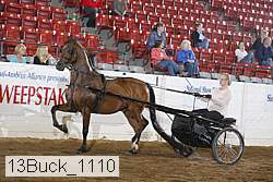 13buck_1110 proof
