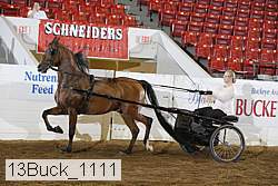 13buck_1111 proof