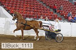 13buck_1113 proof