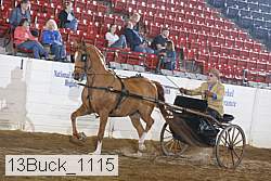 13buck_1115 proof