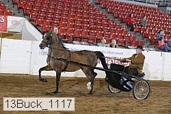 13buck_1117 proof