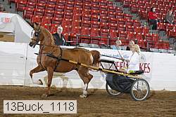 13buck_1118 proof