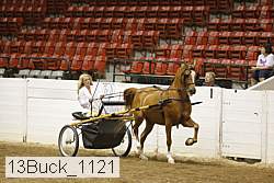 13buck_1121 proof