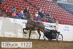 13buck_1122 proof
