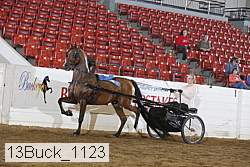 13buck_1123 proof