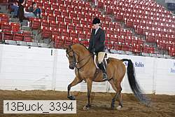 13buck_3394 proof
