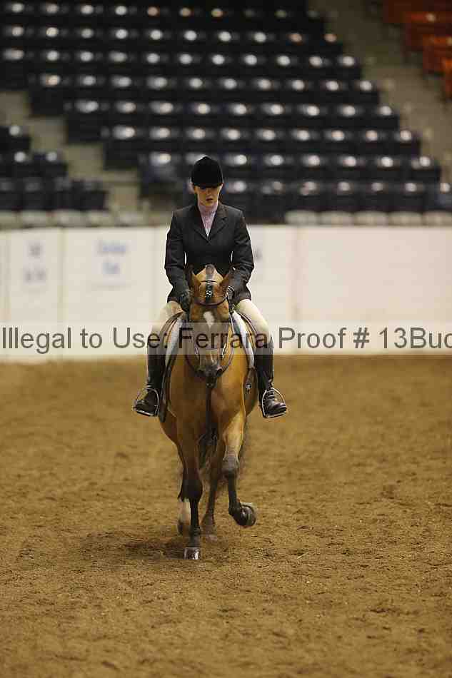 Proof 13buck_3395