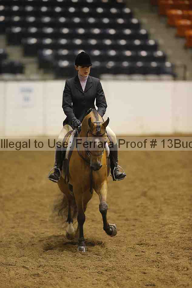 Proof 13buck_3396