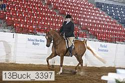 13buck_3397 proof