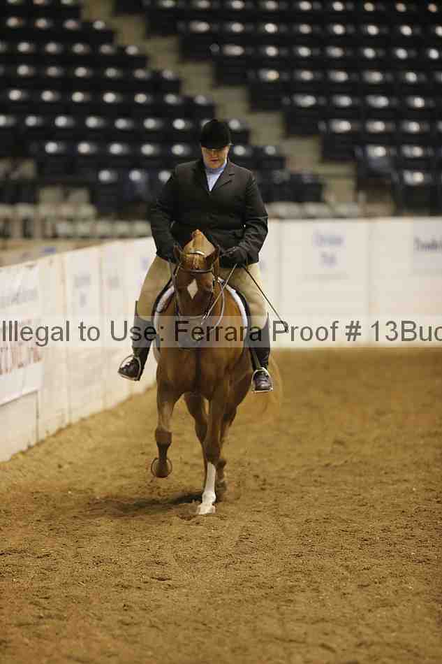 Proof 13buck_3398