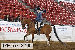 13buck_3399 proof