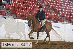 13buck_3402 proof