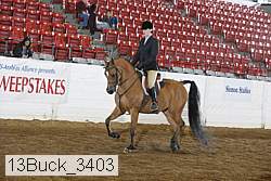 13buck_3403 proof