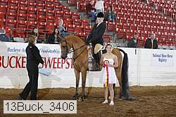 13buck_3406 proof