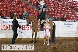 13buck_3407 proof