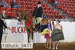 13buck_3411 proof