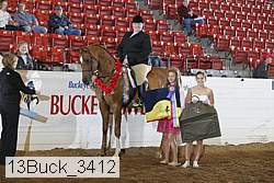 13buck_3412 proof