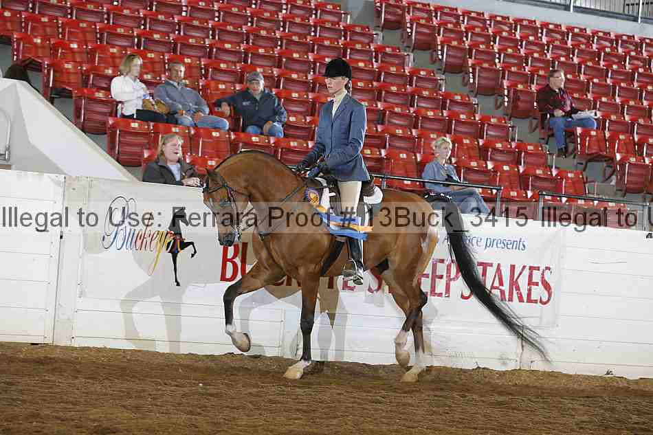 Proof 13buck_3415
