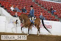 13buck_3415 proof