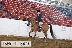13buck_3416 proof