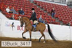 13buck_3417 proof