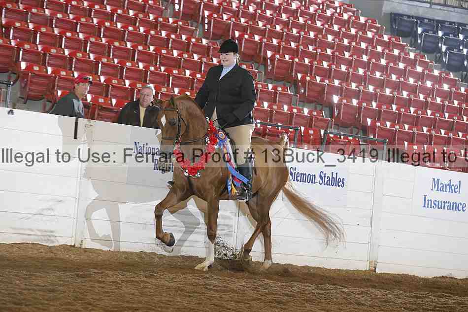 Proof 13buck_3419
