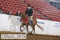 13buck_3419 proof