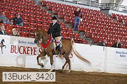 13buck_3420 proof