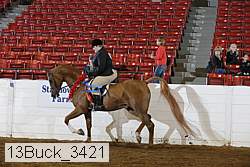 13buck_3421 proof