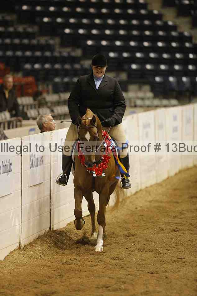 Proof 13buck_3422