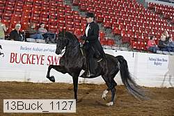 13buck_1127 proof