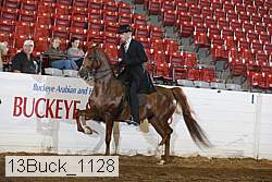 13buck_1128 proof