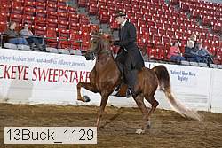 13buck_1129 proof
