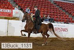 13buck_1131 proof