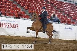 13buck_1134 proof