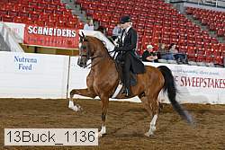 13buck_1136 proof