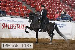 13buck_1137 proof