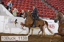 13buck_1138 proof